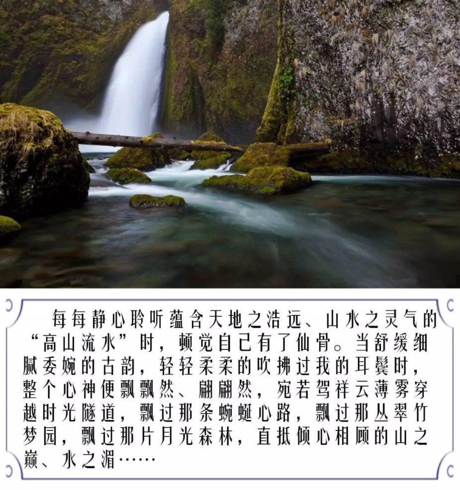 国王的坐骑